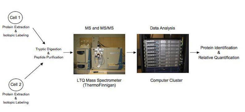 scientific_pictures/MassSpec3.jpg